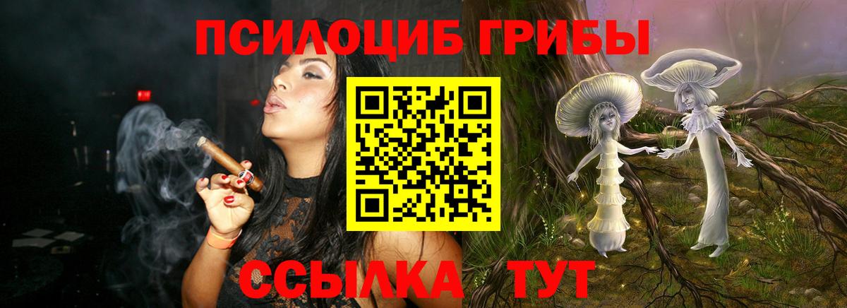 Псилоцибиновые грибы Magic Shrooms Лениногорск